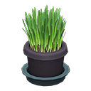 Load image into Gallery viewer, Cat Grass
