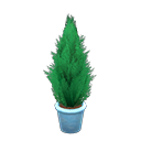 Load image into Gallery viewer, Cypress Plant
