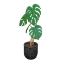 Load image into Gallery viewer, Monstera
