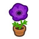 Load image into Gallery viewer, Purple Windflower
