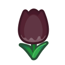 Load image into Gallery viewer, Black Tulip
