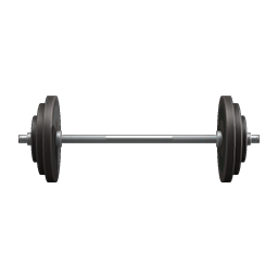 barbell