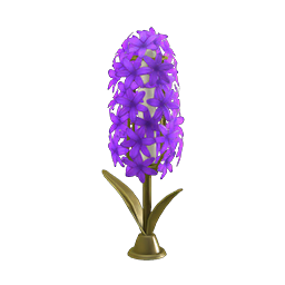 hyacinth lamp