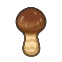 Elegant Mushroom x10