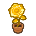 Gold Rose