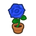 Blue Rose