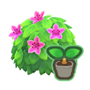 Pink-Azalea Start x 10