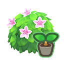 White-Azalea Start x 10