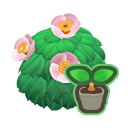 Pink-Camellia Start x 10