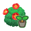 Red-Camellia Start x 10