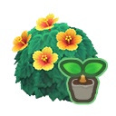 Yellow-Hibiscus Start x 10