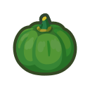 Green Pumpkin x10