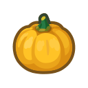 Yellow Pumpkin x10
