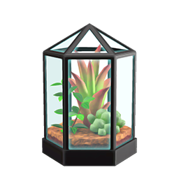 terrarium