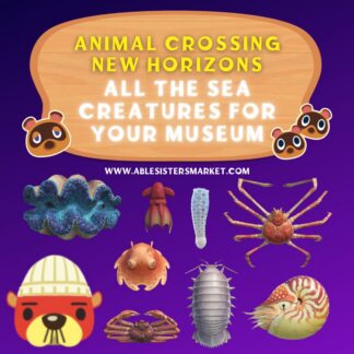 All Sea Creatures For Museum